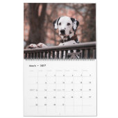 Kalender für große Hunde-Liebhaber (Mär 2027)