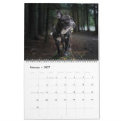 Kalender für große Hunde-Liebhaber (Feb 2027)