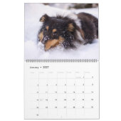 Kalender für große Hunde-Liebhaber (Jan 2027)