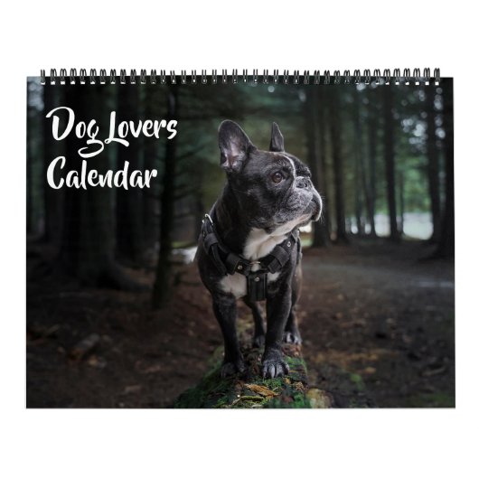 Kalender für große Hunde-Liebhaber (Titelbild)