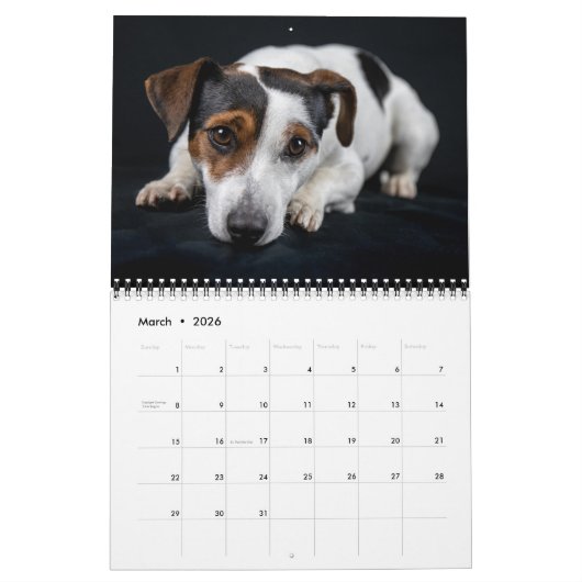 Kalender für Hundeliebhaber (Mär 2026)