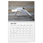 Kalender für künstlerische Seagull (Feb 2027)