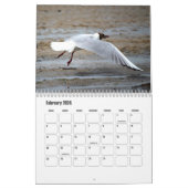Kalender für künstlerische Seagull (Feb 2024)