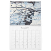 Kalender für Natur und Landschaften 2020 (Jan 2026)