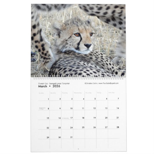 Kalender für ostafrikanische Tiere (zwei Seiten) (Mär 2026)