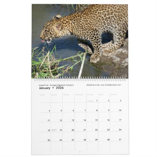 Kalender für ostafrikanische Tiere (zwei Seiten) (Jan 2026)