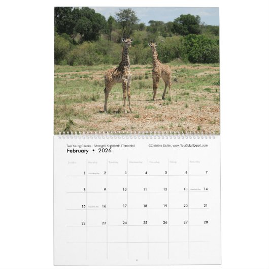 Kalender für ostafrikanische Tiere (zwei Seiten) (Feb 2026)