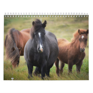 Kalender für Pferdeliebhaber