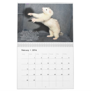 Kalender für Rettungsleistungen