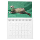 Kalender für Rettungsleistungen (Mär 2027)