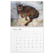 Kalender für schlafende abessinische Katzen - extr (Jan 2027)