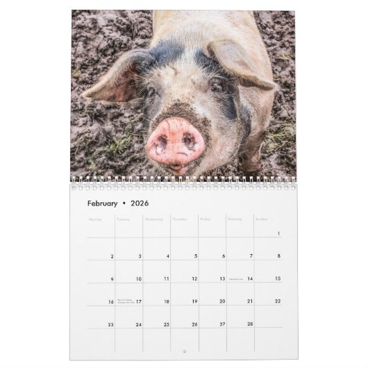 Kalender für Schweine und Ferkel (Feb 2026)