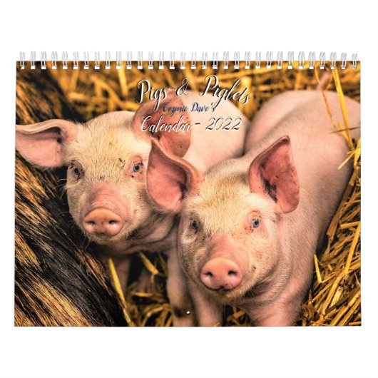 Kalender für Schweine und Ferkel - 2022 (Titelbild)