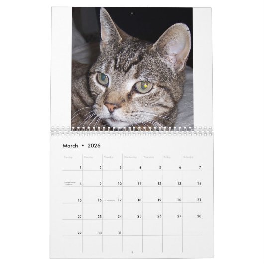 Kalender für Tabby Cats (Mär 2026)