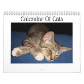 Kalender für Tabby Cats (Titelbild)