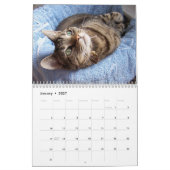 Kalender für Tabby Cats (Jan 2027)