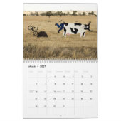 Kalender für Tiere auf Rädern (Mär 2027)