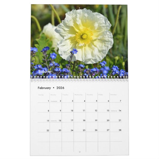 Kalender für verschiedene Blume (Feb 2026)