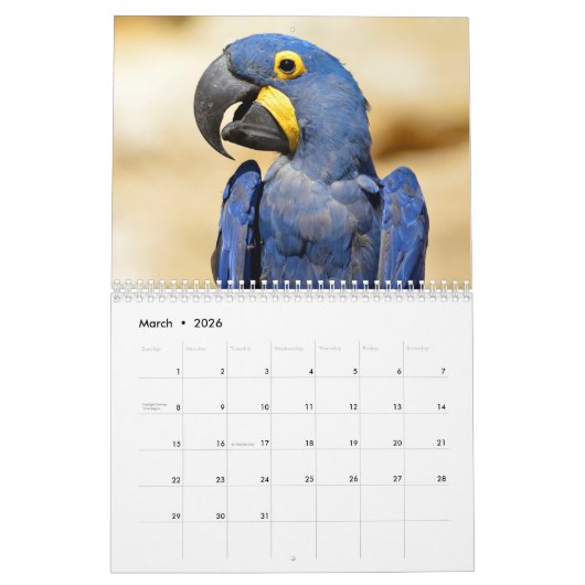 Kalender für verschiedene Papageien (Mär 2026)