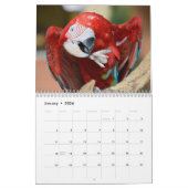 Kalender für verschiedene Papageien (Jan 2026)