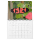 Kalender für verschiedene Schmetterlinge (Feb 2026)