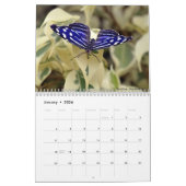 Kalender für verschiedene Schmetterlinge (Jan 2026)