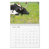 Kalender für Viehfotografie (Jan 2027)