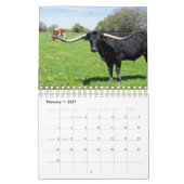 Kalender für Viehfotografie (Feb 2027)