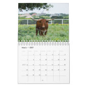 Kalender für Viehfotografie (Mär 2027)
