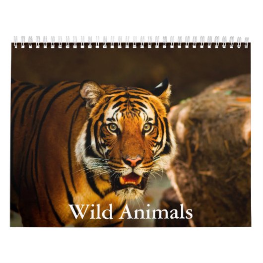 Kalender für wilde Tiere (Titelbild)