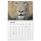 Kalender für wilde Tiere (Jan 2027)