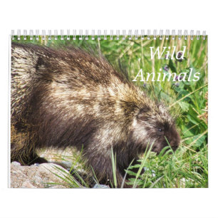 Kalender für wilde Tiere