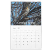 Kalender für Wisconsin-Vögel 2026 (Mär 2027)