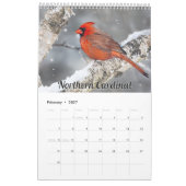 Kalender für Wisconsin-Vögel 2026 (Feb 2027)