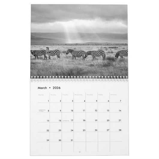 Kalender für Zebra (Mär 2026)