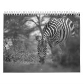 Kalender für Zebra (Titelbild)