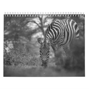 Kalender für Zebra
