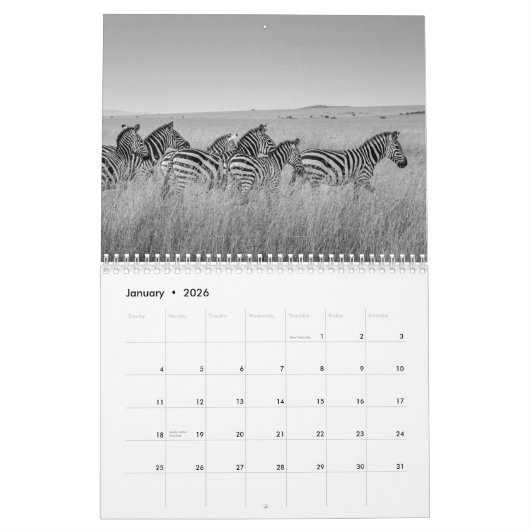 Kalender für Zebra (Jan 2026)