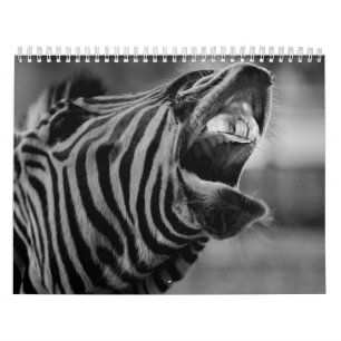 Kalender für Zebra