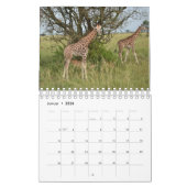 Kalender-Giraffe Kalender (Jan 2026)