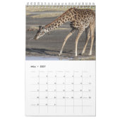 Kalender-Giraffen Kalender (Mär 2027)