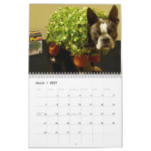 Kalender Halloween-Echo-2013 (Mär 2027)
