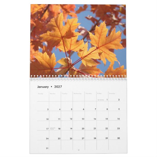 KALENDER HERBST Kalenders HERBSTKUNST Blätter (Jan 2027)