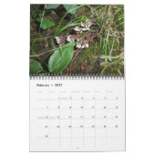 Kalender - Herrliche Pilze (Feb 2027)