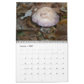Kalender - Herrliche Pilze (Jan 2027)