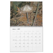 Kalender - Herrliche Pilze (Mär 2027)