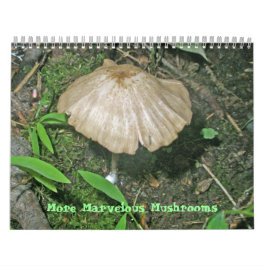 Kalender - Herrlichere Pilze