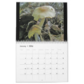 Kalender - Herrlichere Pilze #4 (Jan 2026)