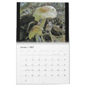 Kalender - Herrlichere Pilze #4 (Jan 2027)
