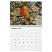 Kalender - Herrlichere Pilze #4 (Feb 2027)